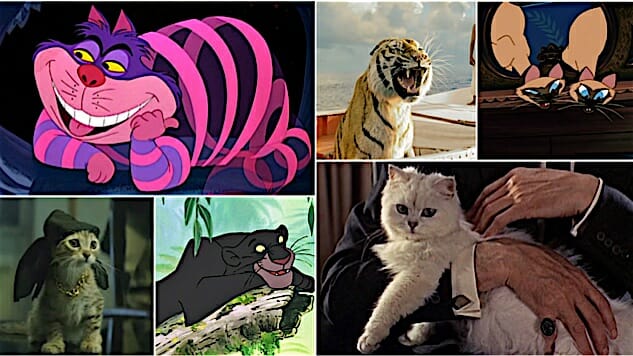 The 25 most iconic movie cats