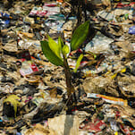 Malaysia Shipping 3,000 Tons of Plastic Waste Back to Rich Countries