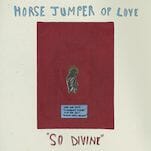 Horse Jumper of Love: So Divine
