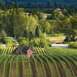 Your Guide to the Wineries of Willamette Valley