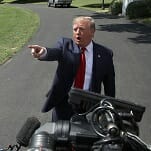 The Funniest Tweets about Trump's Unhinged Week: Greenland, 
