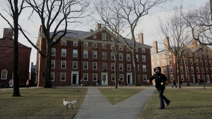 Harvard Freshman From Palestine Deported Because His Friends Made Political Posts on Social Media