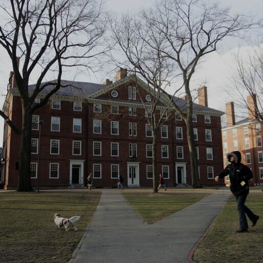Laundering Privilege: How the Harvard Crimson Killed My Chapo Trap House Interview