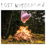 Mount Eerie and Julie Doiron Reunite for Lost Wisdom pt. 2, Share Second Single 