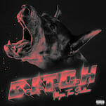 Megan Thee Stallion Teases Forthcoming Album Suga with New Track, “B.I.T.C.H.”