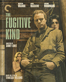 fugitive-kind-movie-poster.jpg