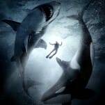 It's Sharks vs. Whales in the Hilariously Stupid Premise for Sam Worthington's Alphas