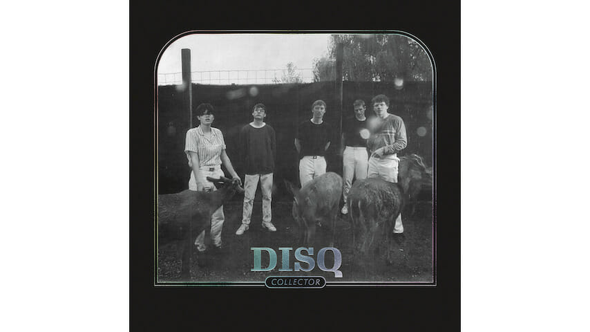Disq’s Eccentric Guitars and Millennial Angst Charm on Collector