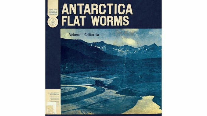 Flat Worms’ Antarctica is a Scorched Punk Stunner