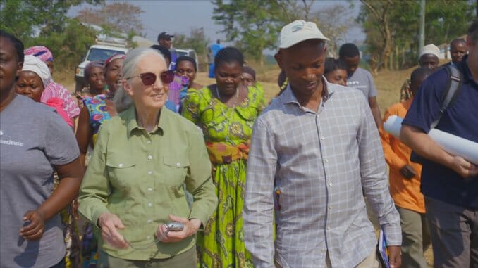 Jane Goodall on Hope, Advocacy, Coronavirus, and Tiger King
