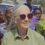 Jane Goodall on Hope, Advocacy, Coronavirus, and Tiger King