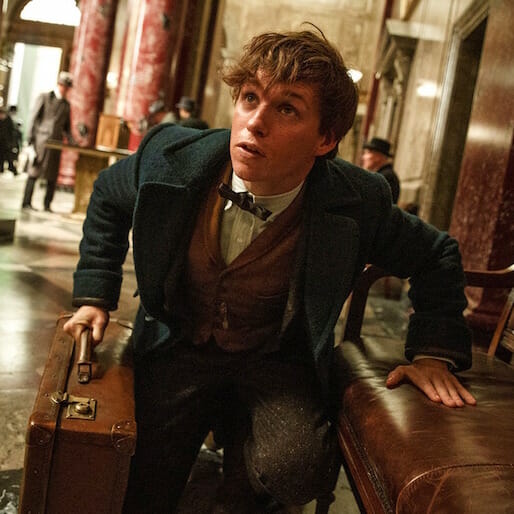 Fantastic Beasts Sequel Casting Teenage Versions of Leads