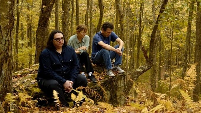 Yo La Tengo Announce Sleepless Night EP, Share Cover of The Byrds’ “Wasn’t Born To Follow”