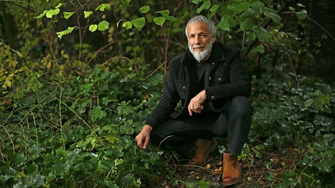 Watch Yusuf / Cat Stevens Play “Wild World” on The Late Show With Stephen Colbert