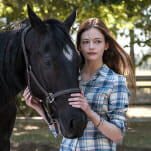 Disney+'s Black Beauty Remake Is Worthy of Its Title
