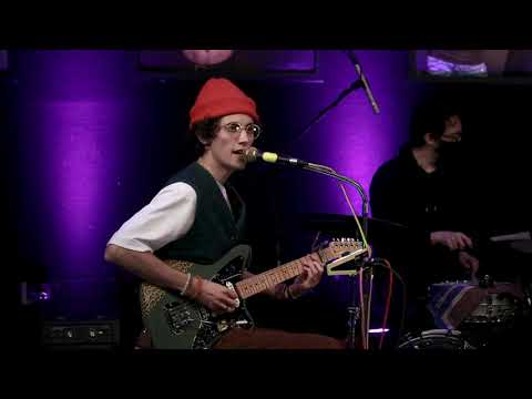 Ron Gallo - All the Punks are Domesticated (2020 Version)