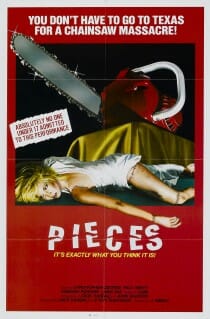Pieces poster (tùy chỉnh) .jpg