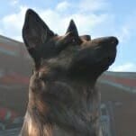 The Real-Life Dogmeat from Fallout 4 Has Passed Away