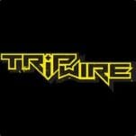 Tripwire Interactive's CEO 