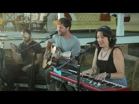 Wax Owls - Carry Me