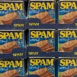 5 of Our Favorite Uses for Spam