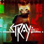 Stray Is More Than Just 