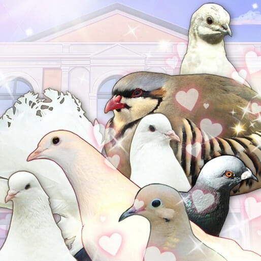 Hatoful Boyfriend (PC/Mac/Linux)