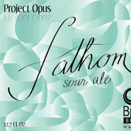 Two Brothers Fathom Sour Ale