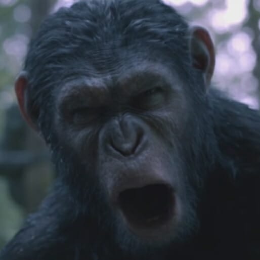 Three Short Films Bridge the Gap Between Rise and Dawn of the Planet of the Apes