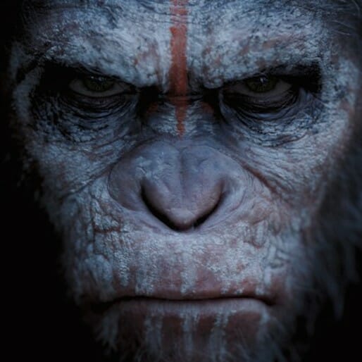 Watch the New Dawn of the Planet of the Apes Teaser