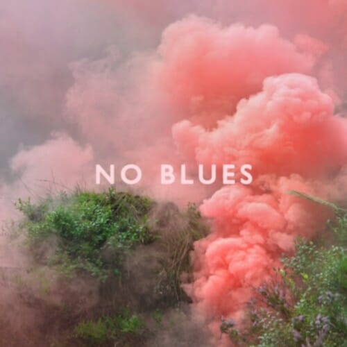 Los Campesinos!: No Blues