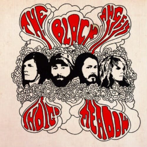 The Black Angels: Indigo Meadow