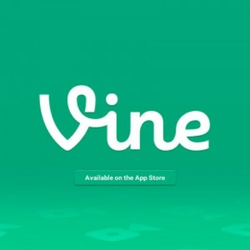 Vine App (iOS)