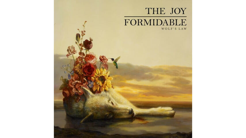 The Joy Formidable: Wolf's Law