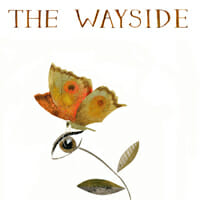 The Wayside by Julie Morstad
