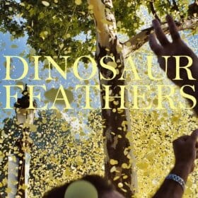 Dinosaur Feathers: Whistle Tips