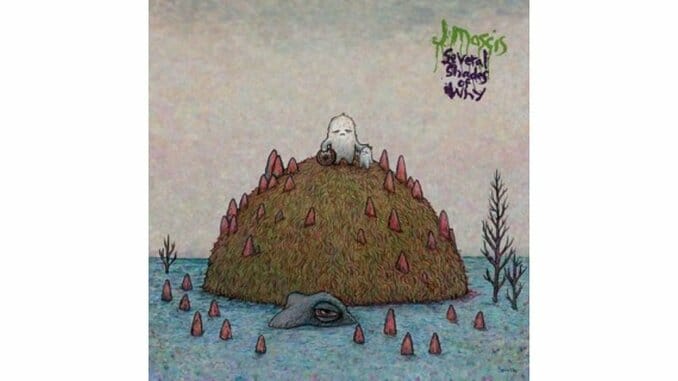 J Mascis: Several Shades of Why