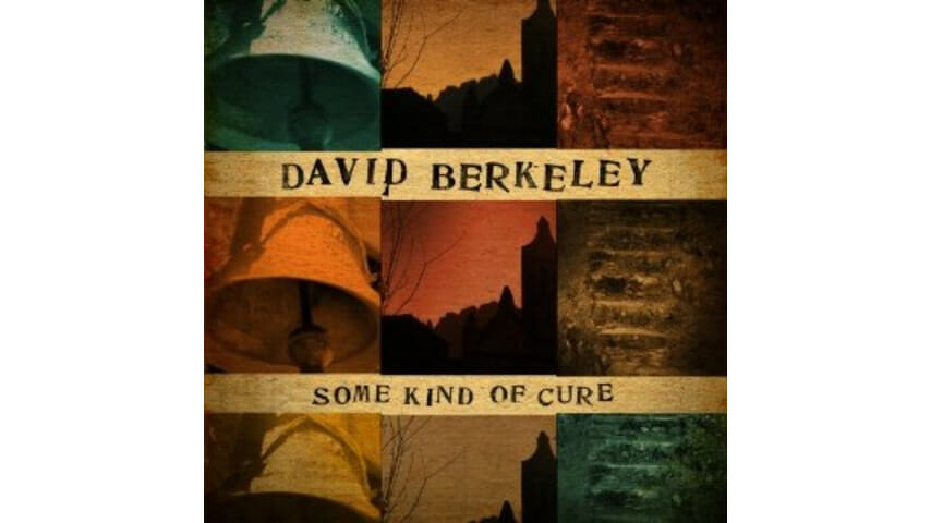 David Berkeley: Some Kind of Cure