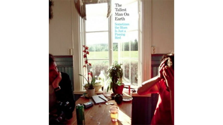 The Tallest Man on Earth: Sometimes the Blues is Just a Passing Bird