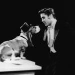 10 Reasons Why Elvis Presley Is Overrated