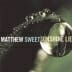 Matthew Sweet: Sunshine Lies
