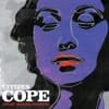 Citizen Cope Every Waking Moment [RCA]