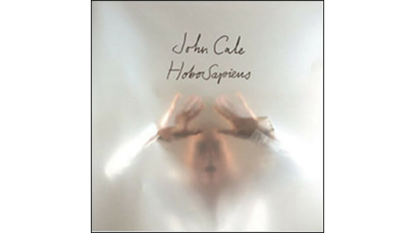 John Cale – HoboSapiens