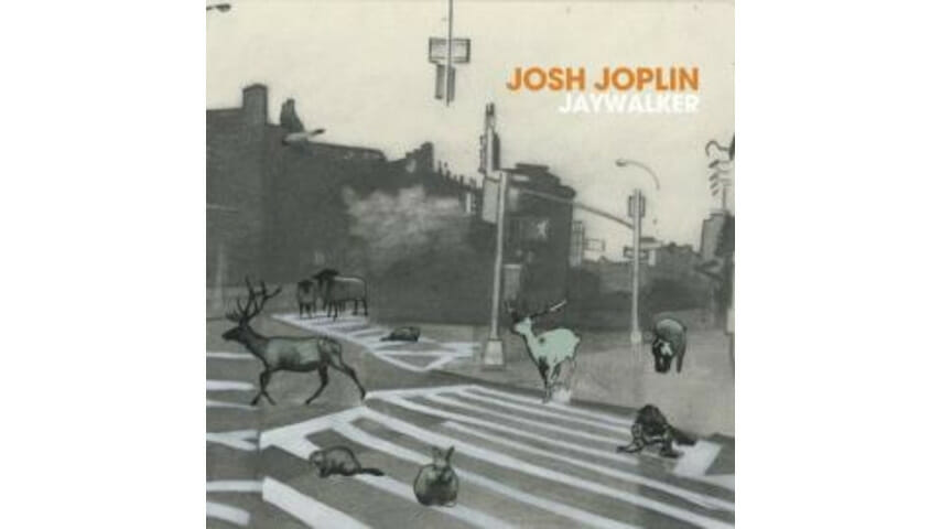 Josh Joplin – Jaywalker