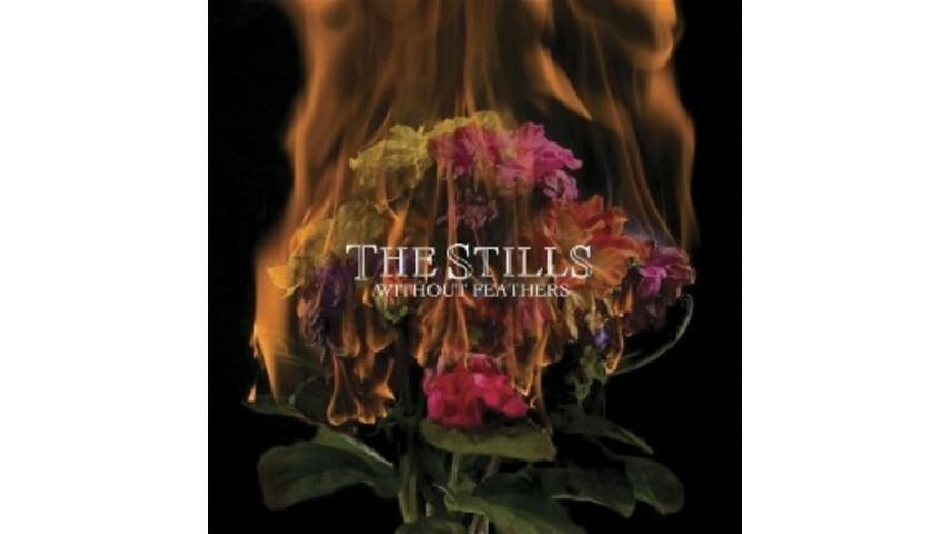 The Stills – Without Feathers