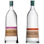 Tasting: 2 Sotol Brands from Quechol Sotol (Wheeleri, Texanum)