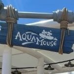 What It's Like to Ride the Aquamouse, Disney's First Attraction at Sea