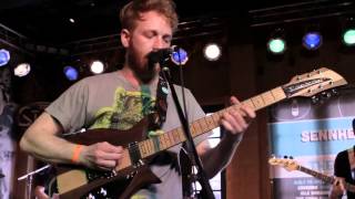 Dinosaur Feathers - Pillars