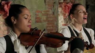 Mariachi Flor de Toloache - Let Down