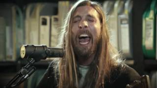 Paul & The Tall Trees - The Little Bit of Sunshine